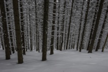 La Traversée des Tatras à ski