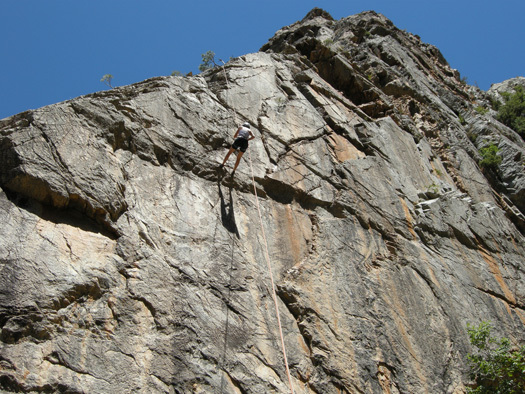 Dans la descente