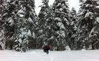 Préparatifs Raid à ski en Corse