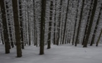 La Traversée des Tatras à ski